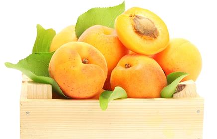 Абрикосы содержат магний Магний в продуктах питания