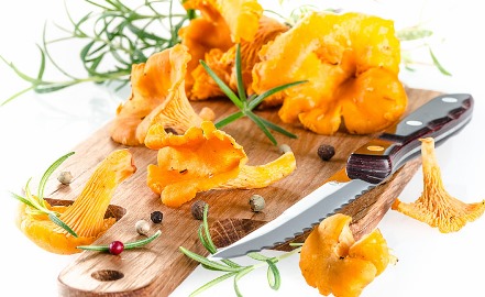 Железо в продуктах - лисички Польза железа в продуктах питания